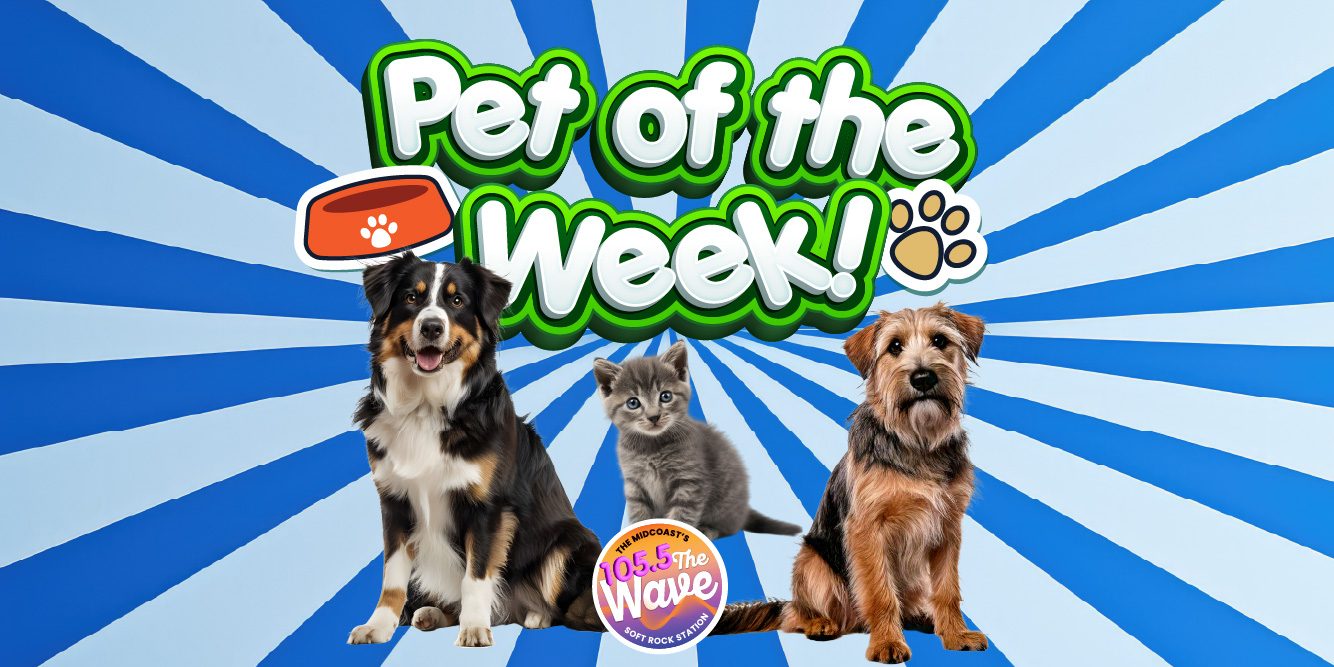 Find Your New Best Friend With The Wave’s Pet Of The Week